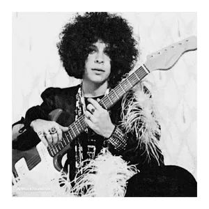 Gal Costa |  Artist