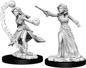 Pathfinder: Deep Cuts Miniatures - Human Wizard (Female)